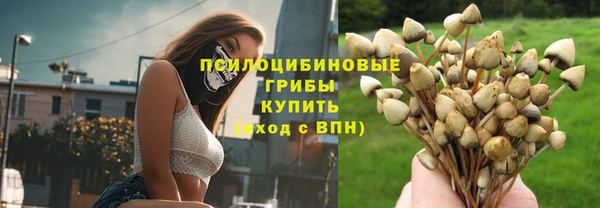 хмурый Кукмор