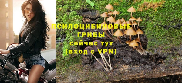 молекула духа Куйбышев